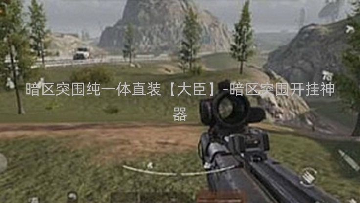 暗区突围纯一体直装【大臣】-暗区突围开挂神器