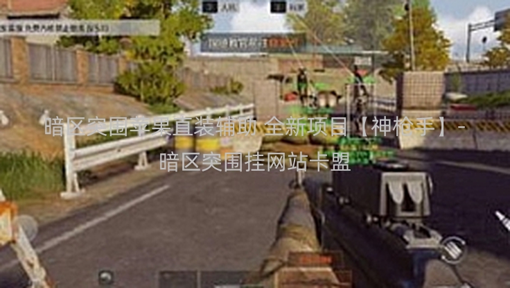 暗区突围苹果直装辅助 全新项目【神枪手】-暗区突围挂网站卡盟